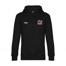 Sweat à capuche écureuils